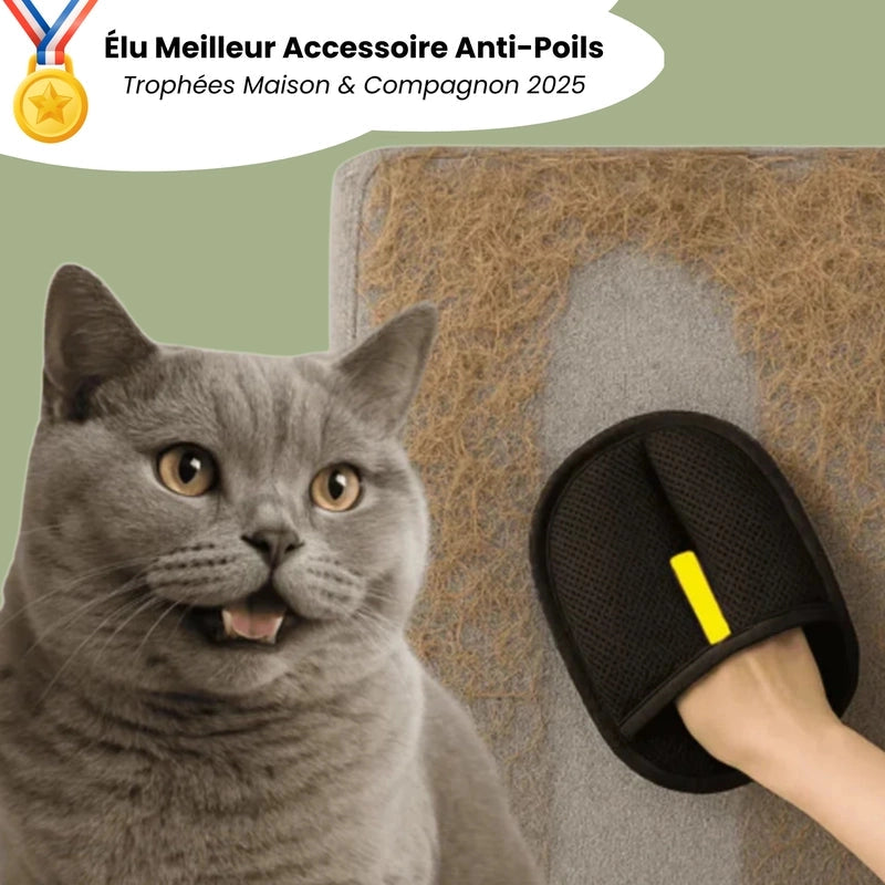 https://cdn.dropmagic.ai/medias/f10a3345-c3eb-44fa-98b0-6ef07b5f2ff1.webp